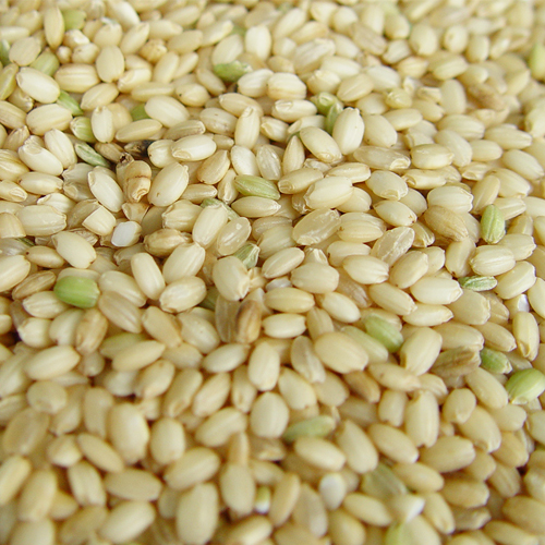 [청량쌀유통영농조합법인] 2023년 파인토피아 찹쌀현미 1kg