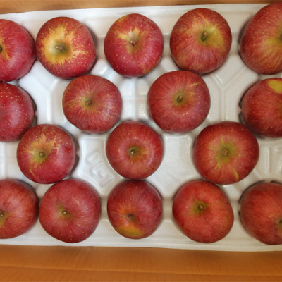 [고향농장] 부사 사과 10kg (34과)